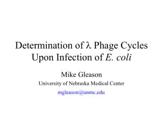 Determination of l Phage Cycles Upon Infection of E. coli