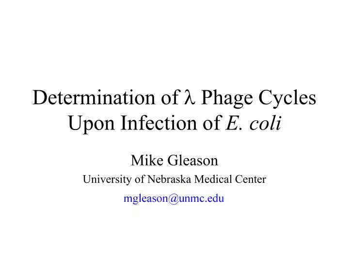 determination of l phage cycles upon infection of e coli