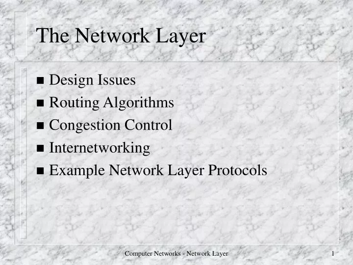 the network layer
