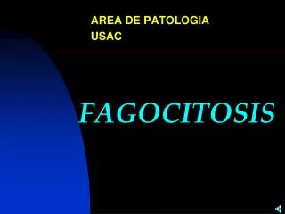 fagocitosis