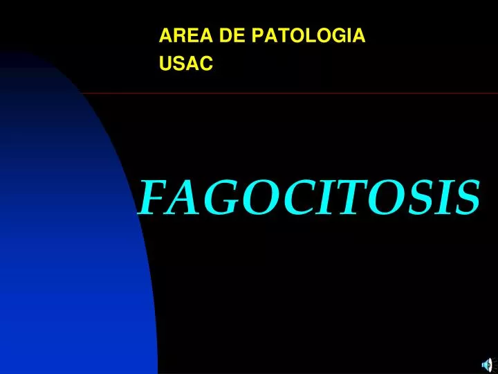 fagocitosis