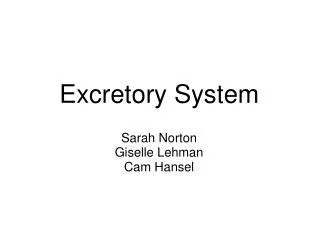 Excretory System