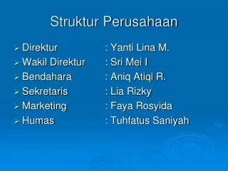 struktur perusahaan