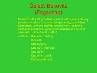 ele bukovit fagaceae