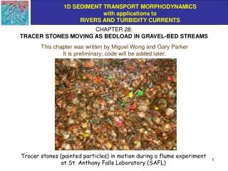 CHAPTER 28: TRACER STONES MOVING AS BEDLOAD IN GRAVEL-BED STREAMS