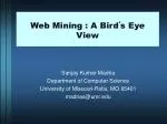 Web Mining : A Bird ’ s Eye View