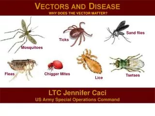 LTC Jennifer Caci US Army Special Operations Command