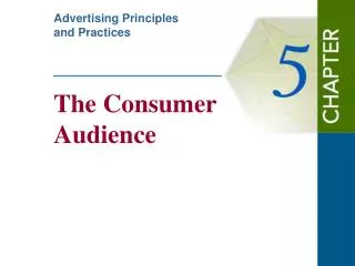The Consumer Audience