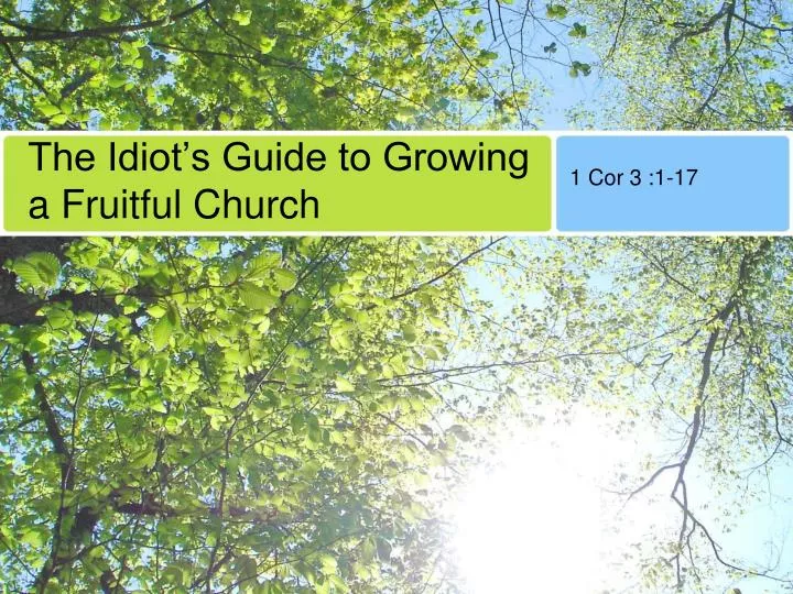 the idiot s guide to growing a fruitful church