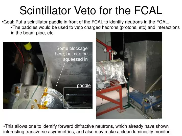 scintillator veto for the fcal