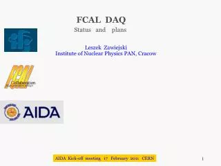 FCAL DAQ Status and plans