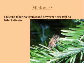 cukern tekutina vylu ovan hmyzem nej ast ji na listech d evin