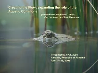 Creating the Flow: expanding the role of the Aquatic Commons