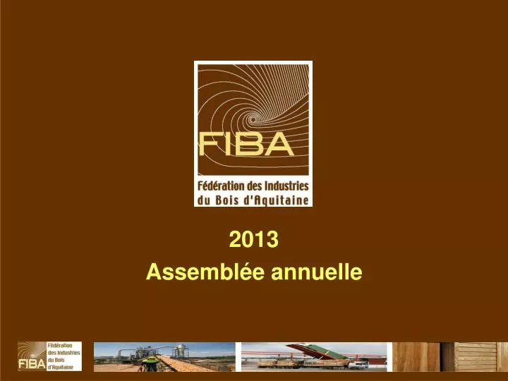 2013 assembl e annuelle