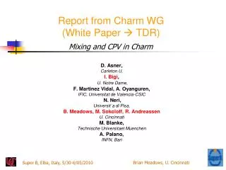 Report from Charm WG (White Paper ? TDR )