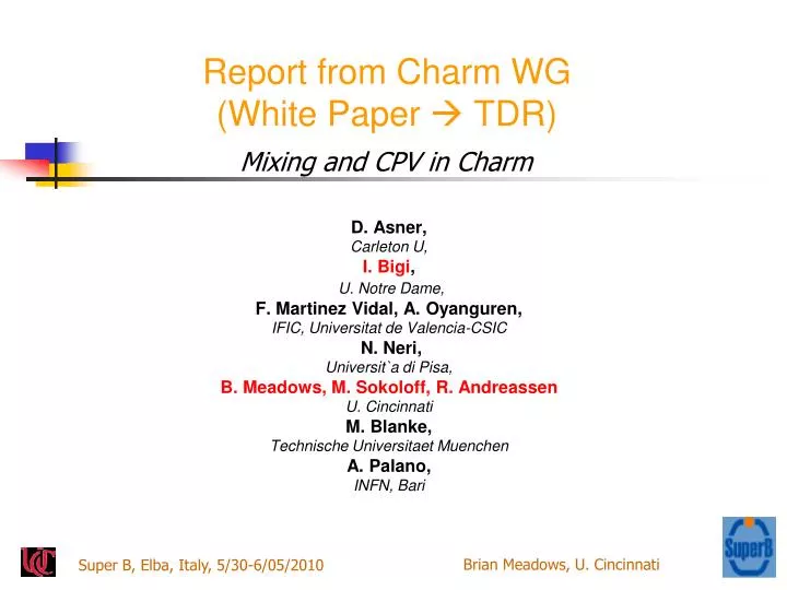 report from charm wg white paper tdr