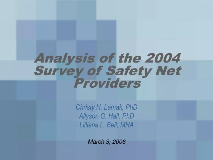 analysis of the 2004 survey of safety net providers