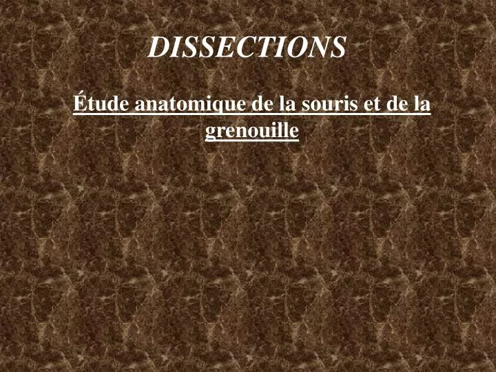 dissections