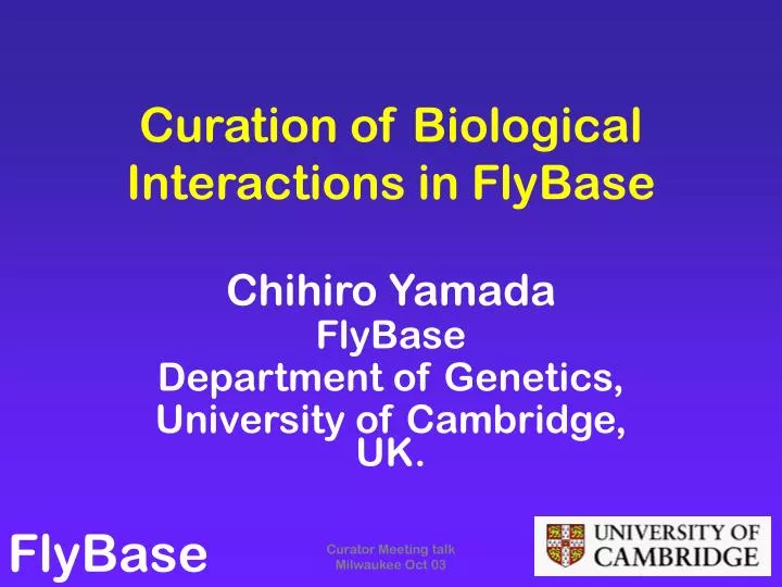 curation of biological interactions in flybase