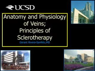 Anatomy and Physiology of Veins; Principles of Sclerotherapy Gerant Rivera-Sanfeliz,MD
