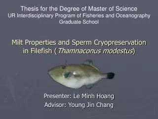 Milt Properties and Sperm Cryopreservation in Filefish ( Thamnaconus modestus )