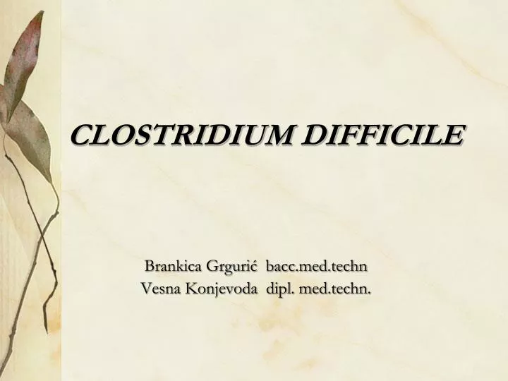clostridium difficile
