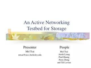 An Active Networking Testbed for Storage