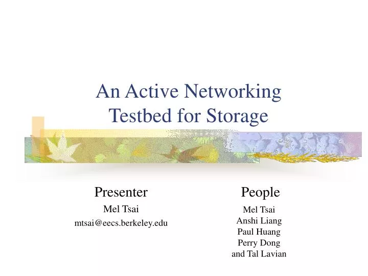 an active networking testbed for storage