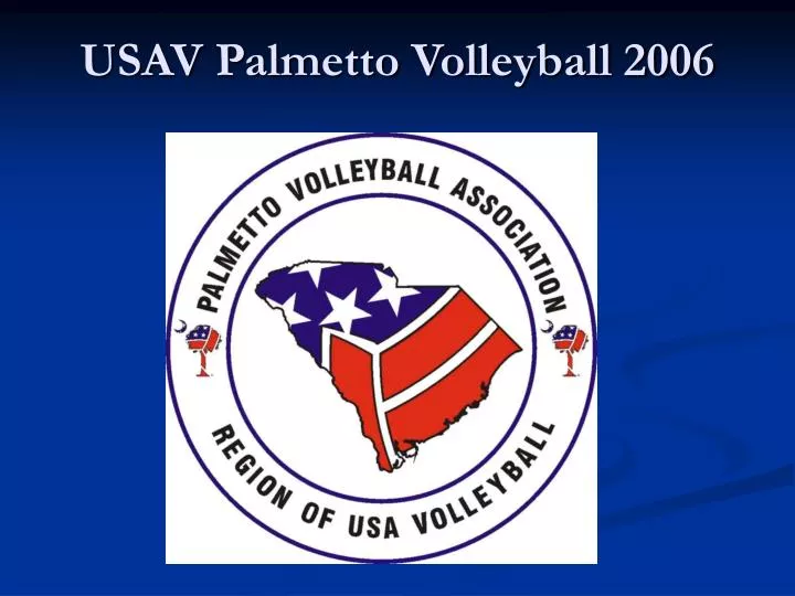 usav palmetto volleyball 2006