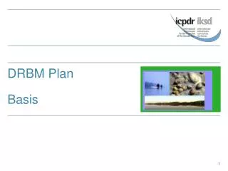 DRBM Plan Basis