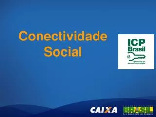 conectividade social