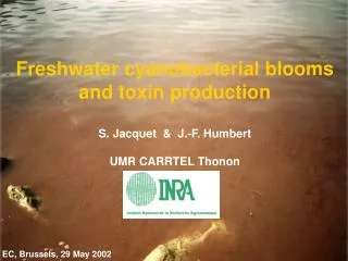 Freshwater cyanobacterial blooms and toxin production S. Jacquet &amp; J.-F. Humbert