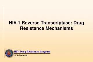 HIV-1 Reverse Transcriptase: Drug Resistance Mechanisms