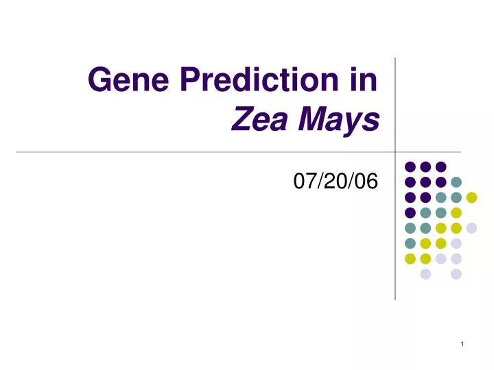 gene prediction in zea mays