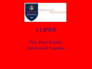 i lipidi