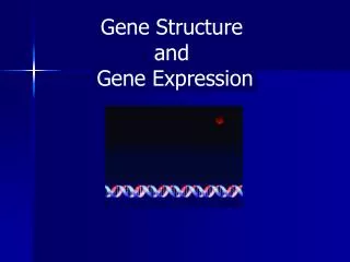 Gene Structure and Gene Expression