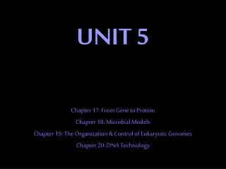 UNIT 5