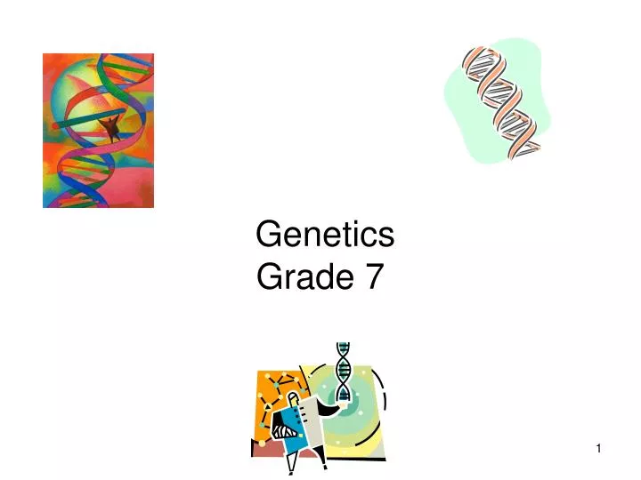 genetics grade 7