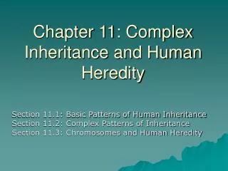 Chapter 11: Complex Inheritance and Human Heredity