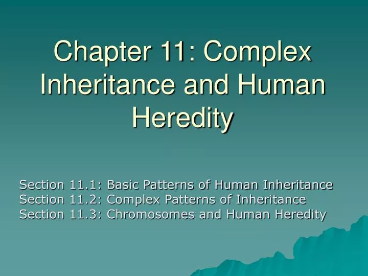 chapter 11 complex inheritance and human heredity