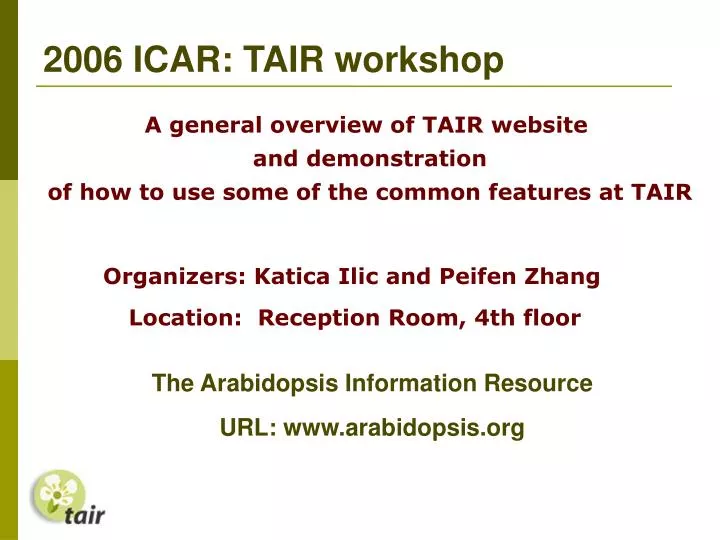 2006 icar tair workshop