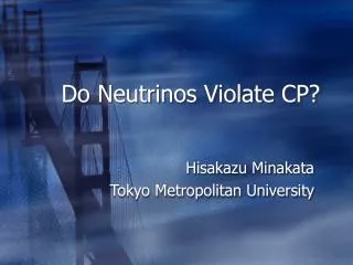 Do Neutrinos Violate CP?