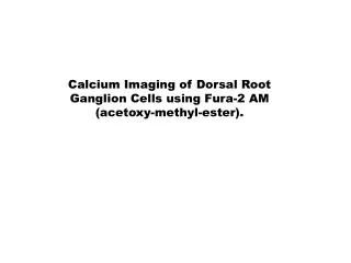 Calcium Imaging of Dorsal Root Ganglion Cells using Fura-2 AM ( acetoxy-methyl-ester).
