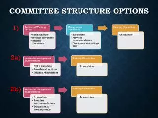 Committee Structure Options