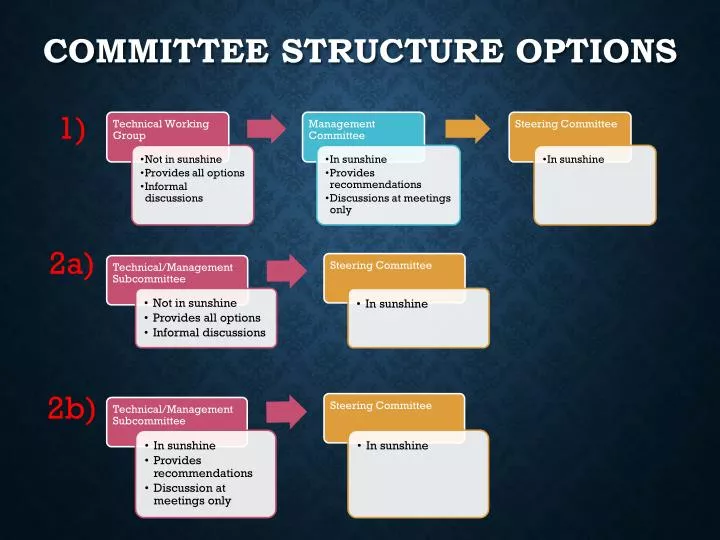 committee structure options