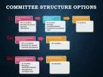 Steering and Management Committees for Crystal River Watershed Coordination - slide 1
