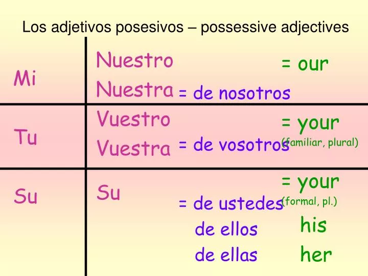 Ppt Los Adjetivos Posesivos Possessive Adjectives Powerpoint Presentation Id3656545