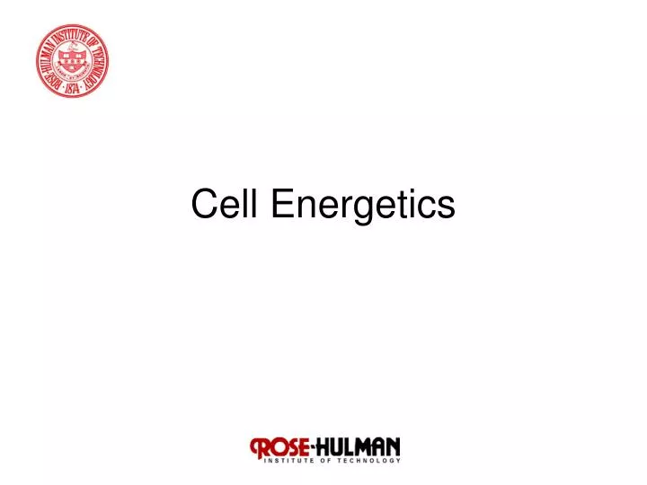 cell energetics