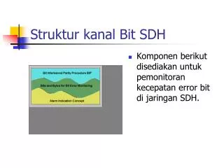 struktur kanal bit sdh