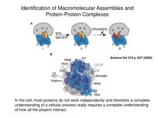 Identification of Macromolecular Assemblies and Protein-Protein Complexes